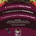 Kidney Support Cranberry Supplement for Women and Men High Strength