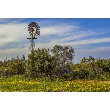 Countryside Windmill - LAMINATED POSTER Rural Nature Landscape Windmill Spring Countryside Poster Print 24 x 36