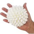 thumbnail image 2 of Real White Seashell Sphere with Lucite Stand | 4 Inches Wide | Beach House Shelf, 2 of 4