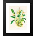 thumbnail image 2 of Jean Jules Linden 19x24 Black Modern Framed Museum Art Print Titled - Bolbophllum Labbi (1885-1906), 2 of 5