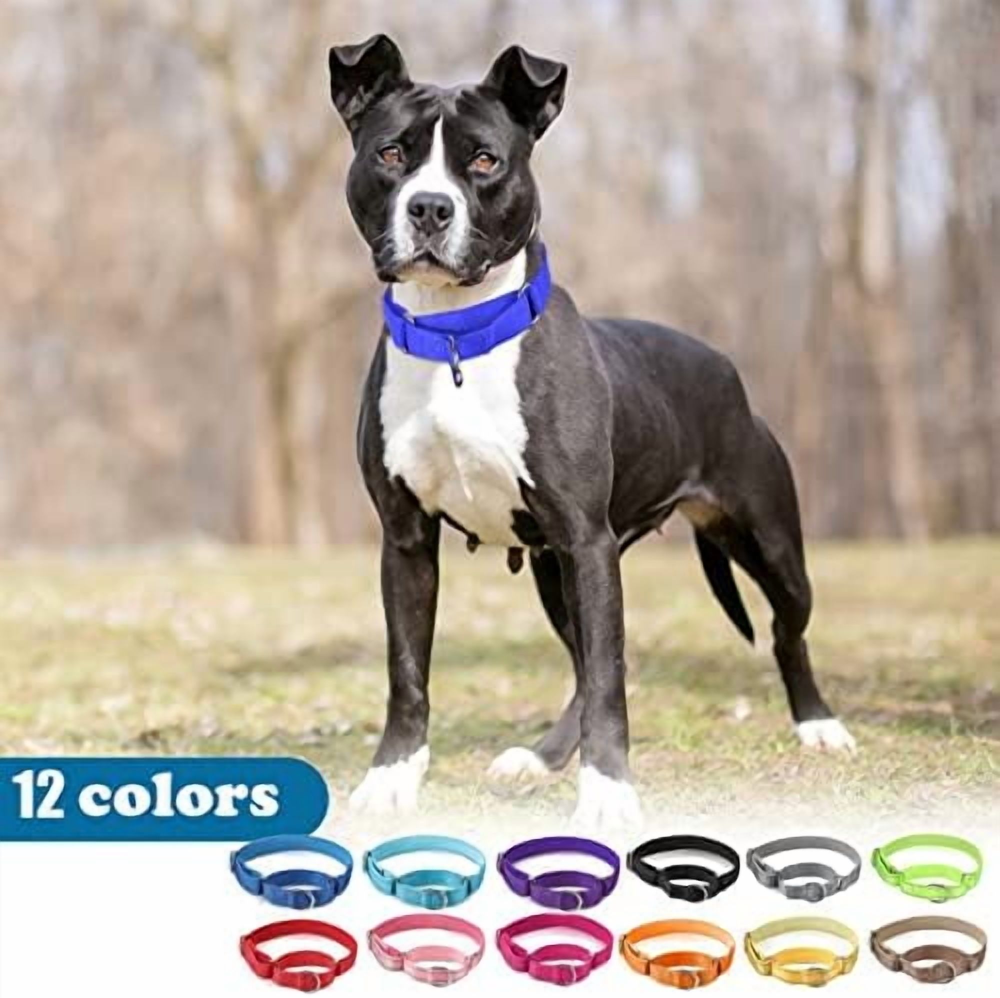 12 Pcs Martingale Collar for Medium Dogs Reflective Dog Collar with Durable Metal Buckle Adjustable Nylon Pet Prevent Slipping Out for Pupplies, 12 Colors(Medium)