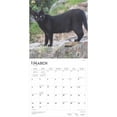 thumbnail image 3 of Black Cats | 2025 12x24" (Hanging) Square Wall Calendar | BrownTrout, 3 of 9