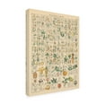 thumbnail image 2 of Wild Apple Portfolio 'Flora Chart I' Canvas Art, 2 of 3