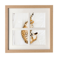 thumbnail image 1 of Animaux ocelot Chat Cadre Cadre Mur Tableau Affichage 4 Ouvertures Image, 1 of 3