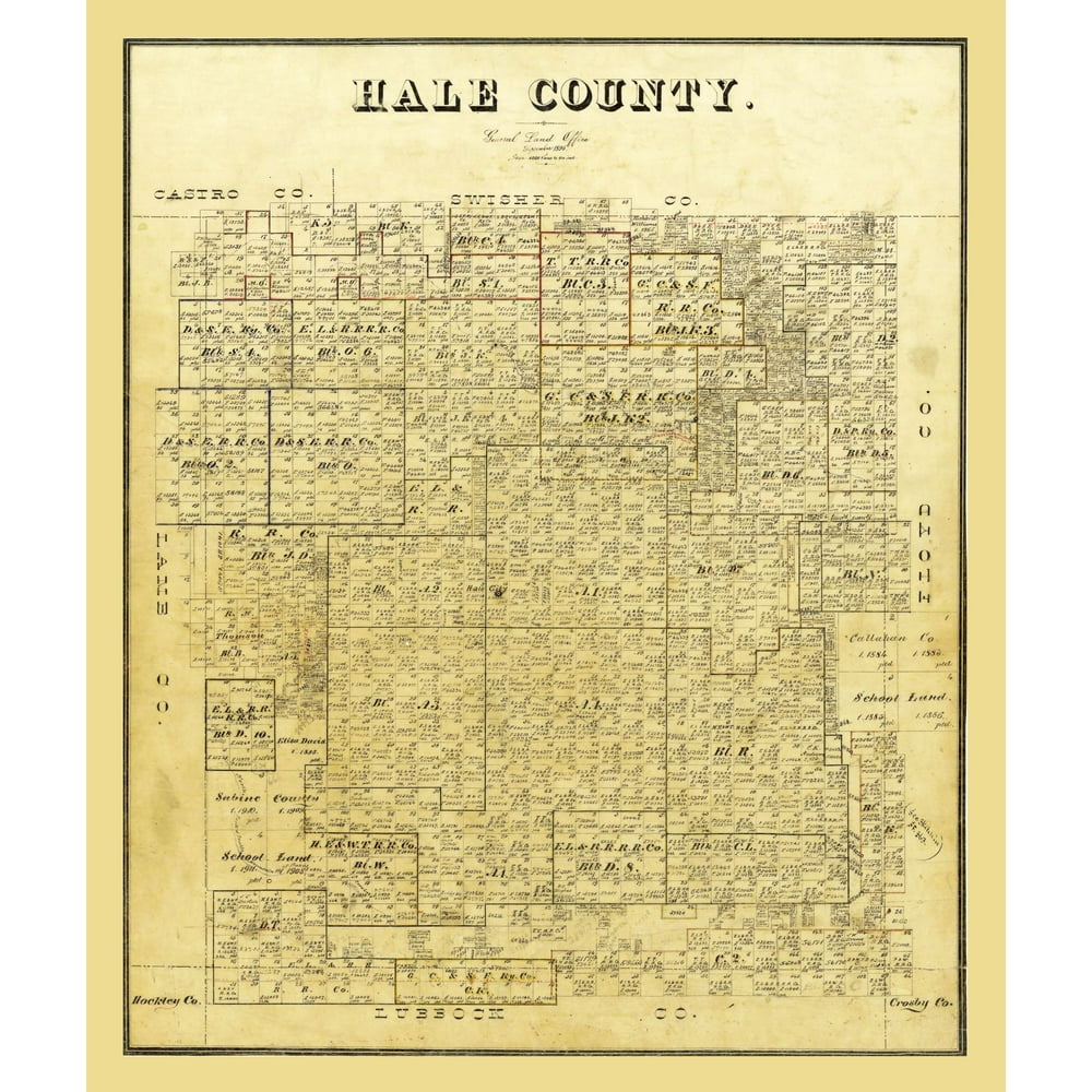Hale County Texas 1895 23 x 27.31