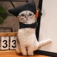 thumbnail image 1 of 3D Cat Plush Toy Stuffed Animal Transformable Doctor Gentleman Cowboy Multiple Styles, 1 of 7