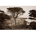 thumbnail image 2 of Watkins, Carleton 24x17 Black Ornate Wood Framed with Double Matting Museum Art Print Titled - Cypress Point, Monterey, California, about 1880s, 2 of 4