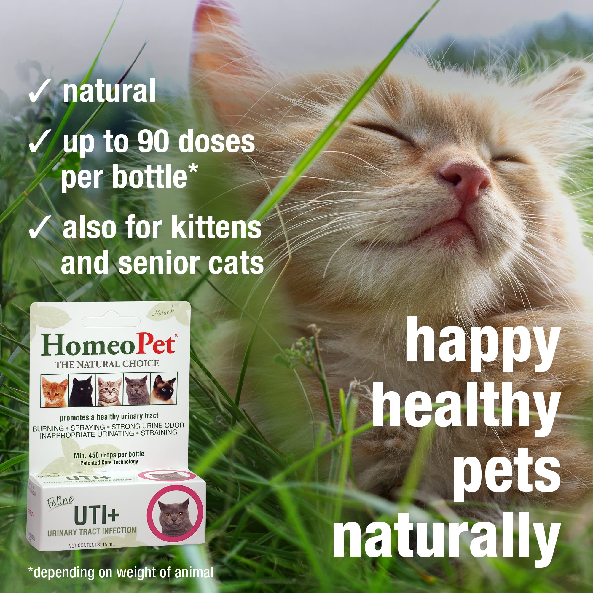 Otc cat uti medicine hotsell