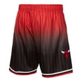 thumbnail image 3 of Men's Mitchell & Ness Red/Black Chicago Bulls 1995/96 Hardwood Classics Fadeaway Reload 3.0 Swingman Shorts, 3 of 4