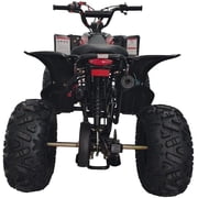 RPS 125cc ATV Jet 9
