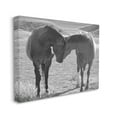 thumbnail image 4 of Stupell Industries Horses Hugging Photography Animals & Insects Photography Gallery Wrapped Canvas Art Print Wall Art, 30 x 24, 4 of 8