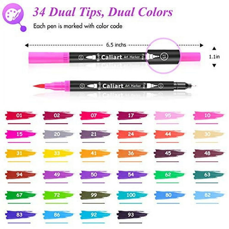 Caliart 72 Double Tip Brush Pens Art Markers, Artist Fine & Brush Pen Coloring  Markers for Kids Adult Book Halloween Journaling