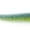 SXE SHAD, variant on Roboworm Curly Tail Worm Bait Aaron's Magic/R&B, 5 1/2-Inch