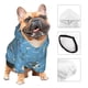 thumbnail image 3 of Fotbe Dolphin Lovers Sudadera con Estampado para Perros Pequeños – Suéter con Capucha para Mascotas, Tela Suave de Forro Polar con Bolsillo-X-Small, 3 of 7