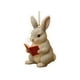 thumbnail image 1 of Colección de adornos para amantes de los libros | Adornos colgantes de animales de lectura acrílicos 2D | Decoración literaria de zorro, mapache y pájaro para árbol de Navidad | Regalo para lect, 1 of 4