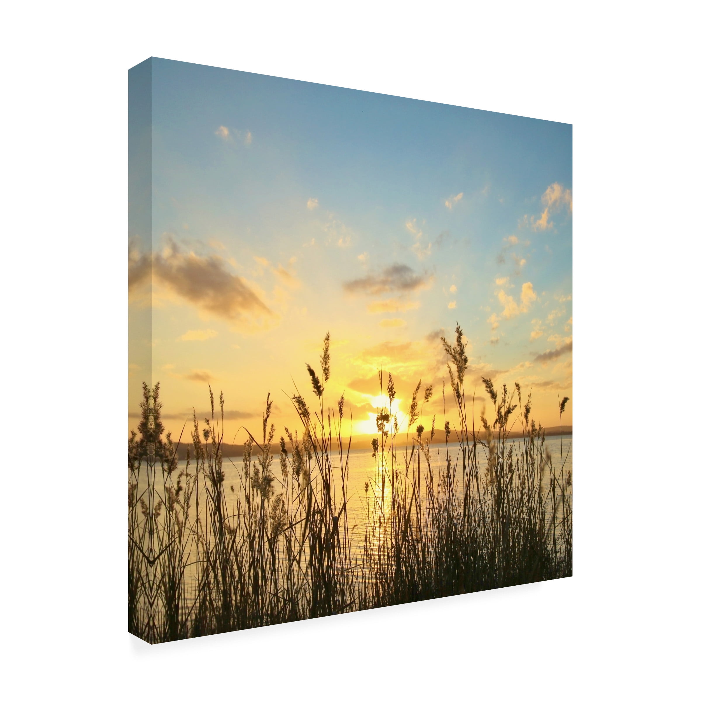 Beata Czyzowska Young 'When The Sun Goes Down' Canvas Art