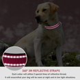 thumbnail image 4 of Collar para perros con hebilla ajustable de nailon de seguridad reflectante BOOMIBO, 4 of 8