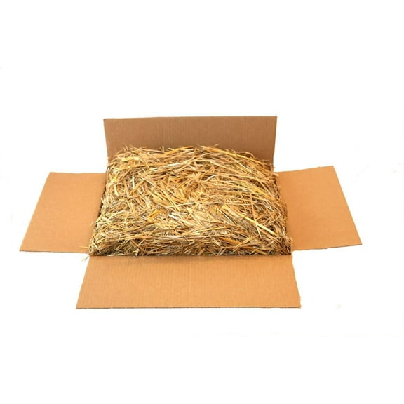 The Kitty Tube Fresh Replacement Oat Straw Pet Bedding-4 lbs