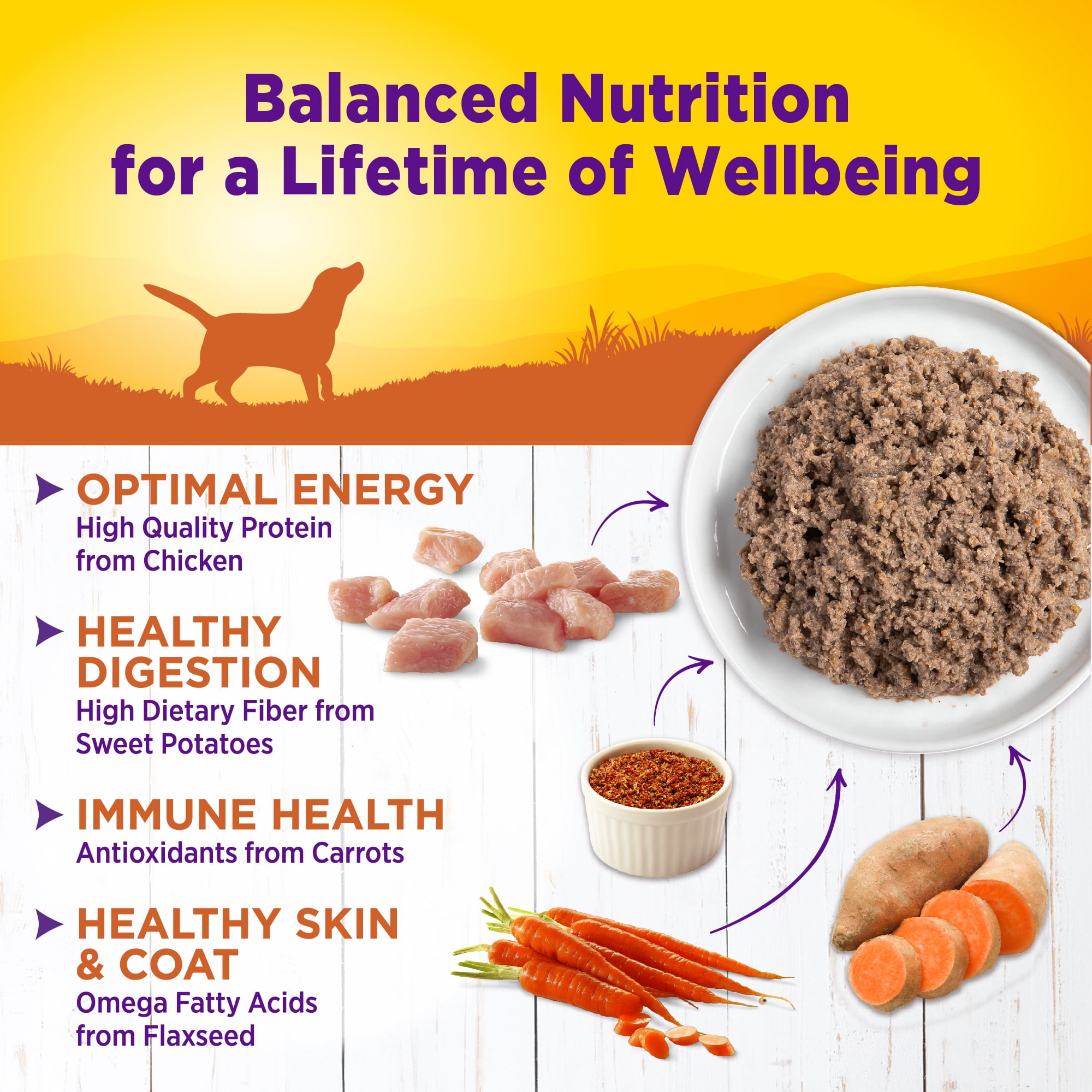 Wellness Complete Health Pate Adult Canned Wet Dog Food, Wholesome Grains, Natural, Turkey and Sweet Potato, 12.5 oz, Pack of 12 Cans