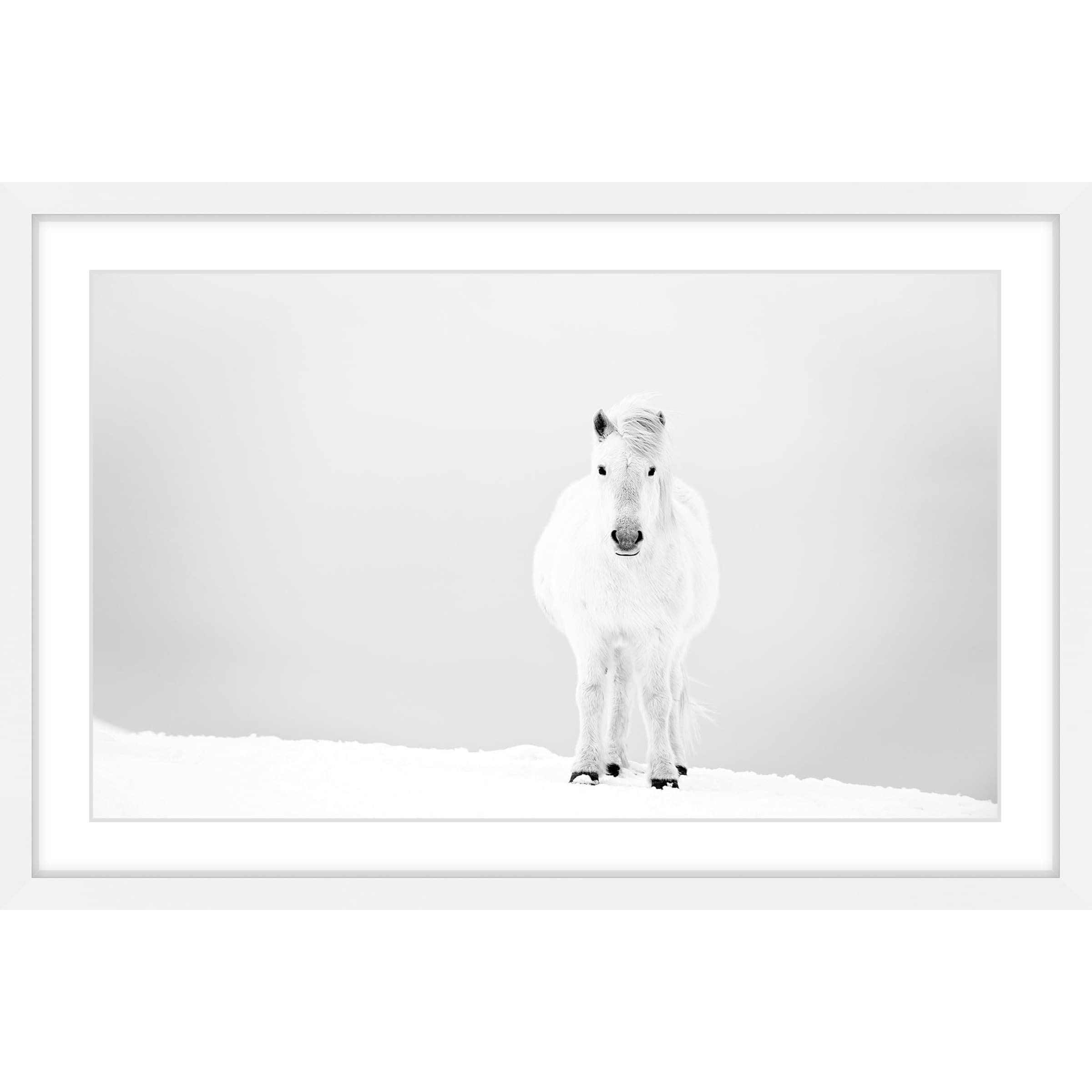 Marmont Hill "Snowy White Horse" Framed Painting Print