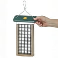thumbnail image 2 of Birds Choice SNDSF Suet Feeder for Two Suet Cakes in Taupe and Green Recycled Poly-Lumber (Feeder Only), 2 of 9