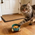thumbnail image 2 of Slow Feeder Dog Bowl Anti Gulping Puzzle Maze Dog Bowl for Fast Eaters, Non-Slip Interactive Dog Slow Feeder Bloat Stop Healthy Eating Dog Bowl for Small Medium Dogs & Cats 4.72 in, 2 of 7