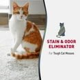 thumbnail image 3 of Nature’s Miracle Advanced Stain and Odor Eliminator Cat, 32 Ounces, Spray, Fresh Scent, Severe Mess Enzymatic Formula For Tough Pet Messes, 3 of 8