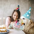 thumbnail image 1 of Birthdays Style Dog Birthday Toys Soft Filled Squeaky Play Puzzle Embroidery Bone Cake Dog Toy For Small And Medium Puppy Breeds Dog Rope Large Dog for Aggressive Chewers Indestructible Puppy Bones, 1 of 3