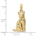 thumbnail image 3 of FJC Finejewelers 14k Yellow Gold Cat Sitting Charm, 3 of 4