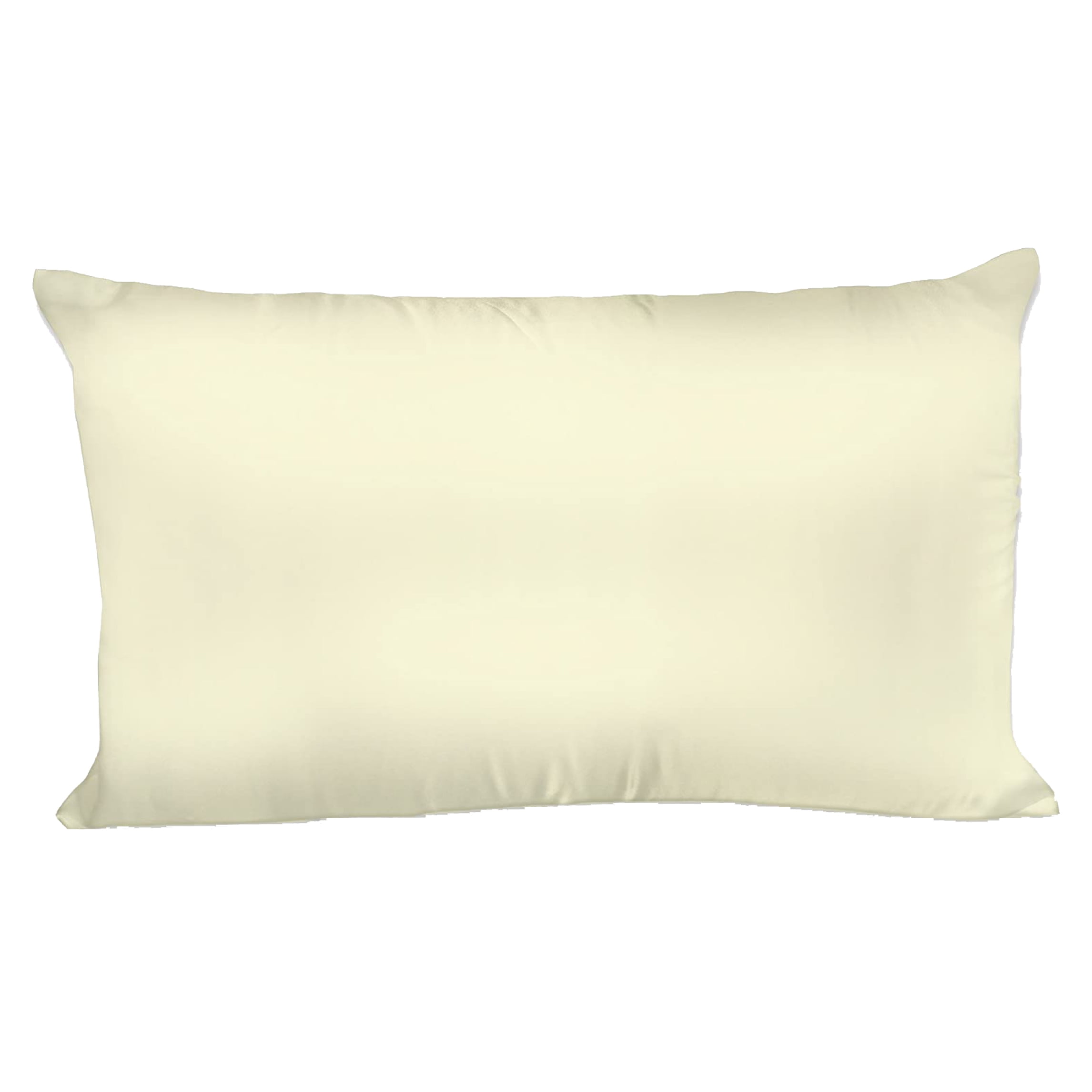 Spasilk Satin Pillowcase for Hair and Face Beauty, Queen/Standard Size