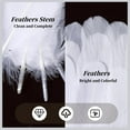 thumbnail image 5 of MODANU 200 Pcs White Craft Goose Feathers 5-6inch White Feathers for DIY Crafts Dream Catchers, Angel Wings and Wedding Party Christmas Home Decoration, 5 of 6