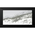 thumbnail image 2 of Chandler, Sharon 18x11 Black Modern Framed Museum Art Print Titled - Lush Dunes I, 2 of 5