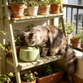 thumbnail image 4 of ZZHZGZ Sale Items on Clearance Fontaine D'Eau En Céramique Pour Chat Distributeur D'Eau Automatique Silencieux Pour Chats D'Intérieur Avec Design Mignon Filtre À Charbon Actif Parfait Pour Les, 4 of 8