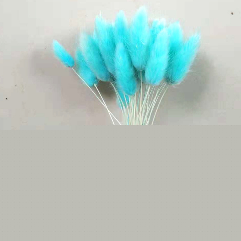 thumbnail image 1 of 30PCS Natural Rabbit Tail Grass Dried Household Flower Decorations Festive Party Supplies, 1 of 1
