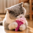 thumbnail image 4 of Cat Toy Ice Cream Cone Design 2-Pack, Crinkle Sound Teaser Toy for Kittens and Cats, Durable Paper Rope and EPS Material for Chewing and Exercise, 4 of 5