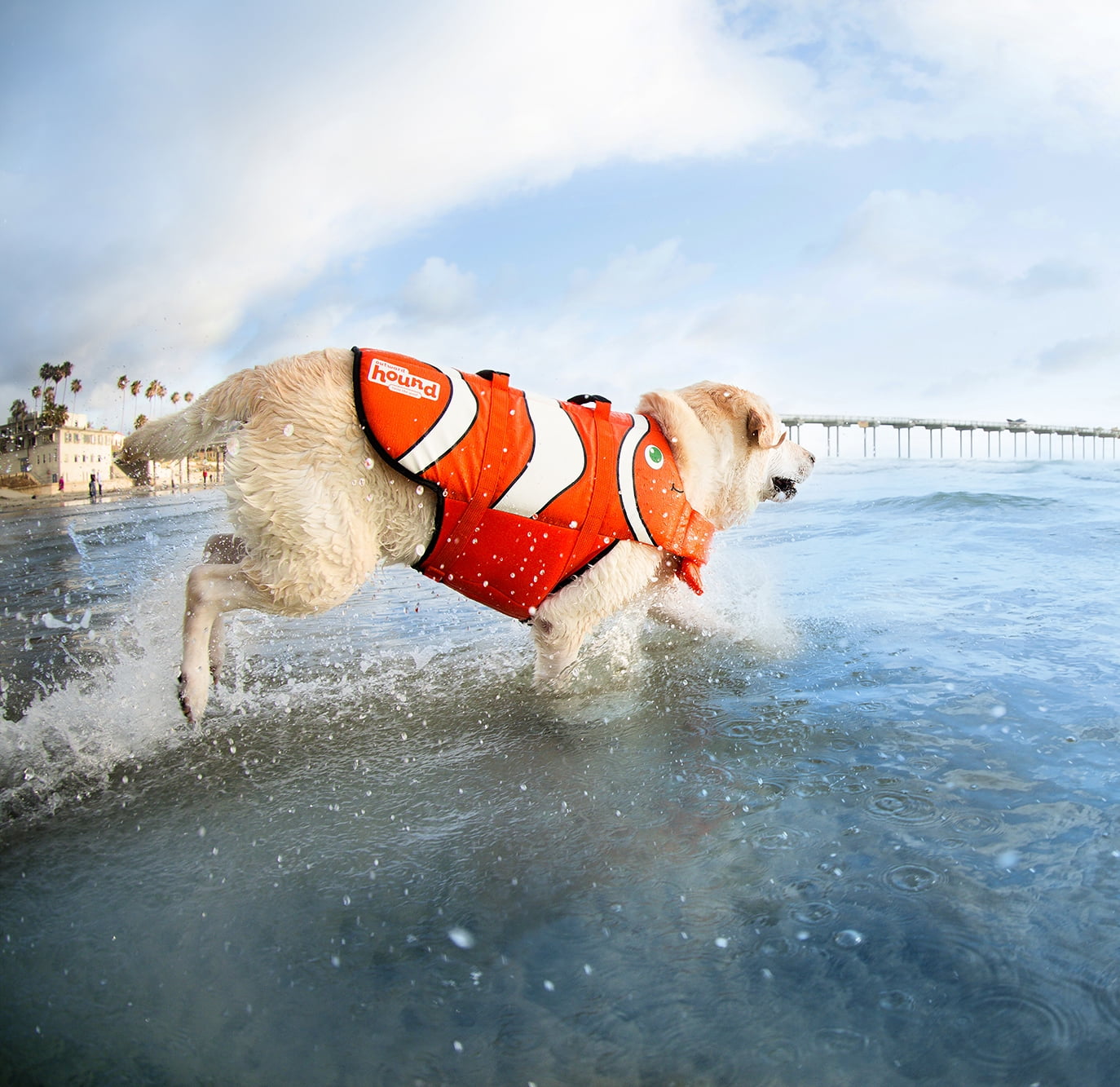 Outward Hound PupSaver Fun Fish Ripstop Dog Life Jacket, Medium, Orange 