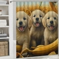 thumbnail image 6 of Autua Puppies Cornfield Bananas Bathroom Décor Set with Hooks, Graphic Print Polyester Stylish Shower Curtain, 100% Polyester Home Bathtubs Bathroom Curtain Decoration Washable Shower Curtain 69"x72, 6 of 7