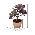 thumbnail image 2 of Vickerman FE192412 12 in. Purple & Green Succulent in Paper Pot, 2 of 2