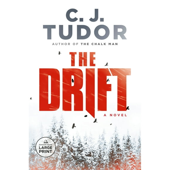 The Drift : A Novel (Paperback)