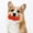 Red, variant on EcoVerve Dog TPR Resistance Teeth Grinding Interactive Sound Toy Toy Dog Toy