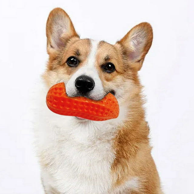 Dog TPR Resistance Simulation Teeth Grinding Interactive Sound Toy Toy Dog Toy