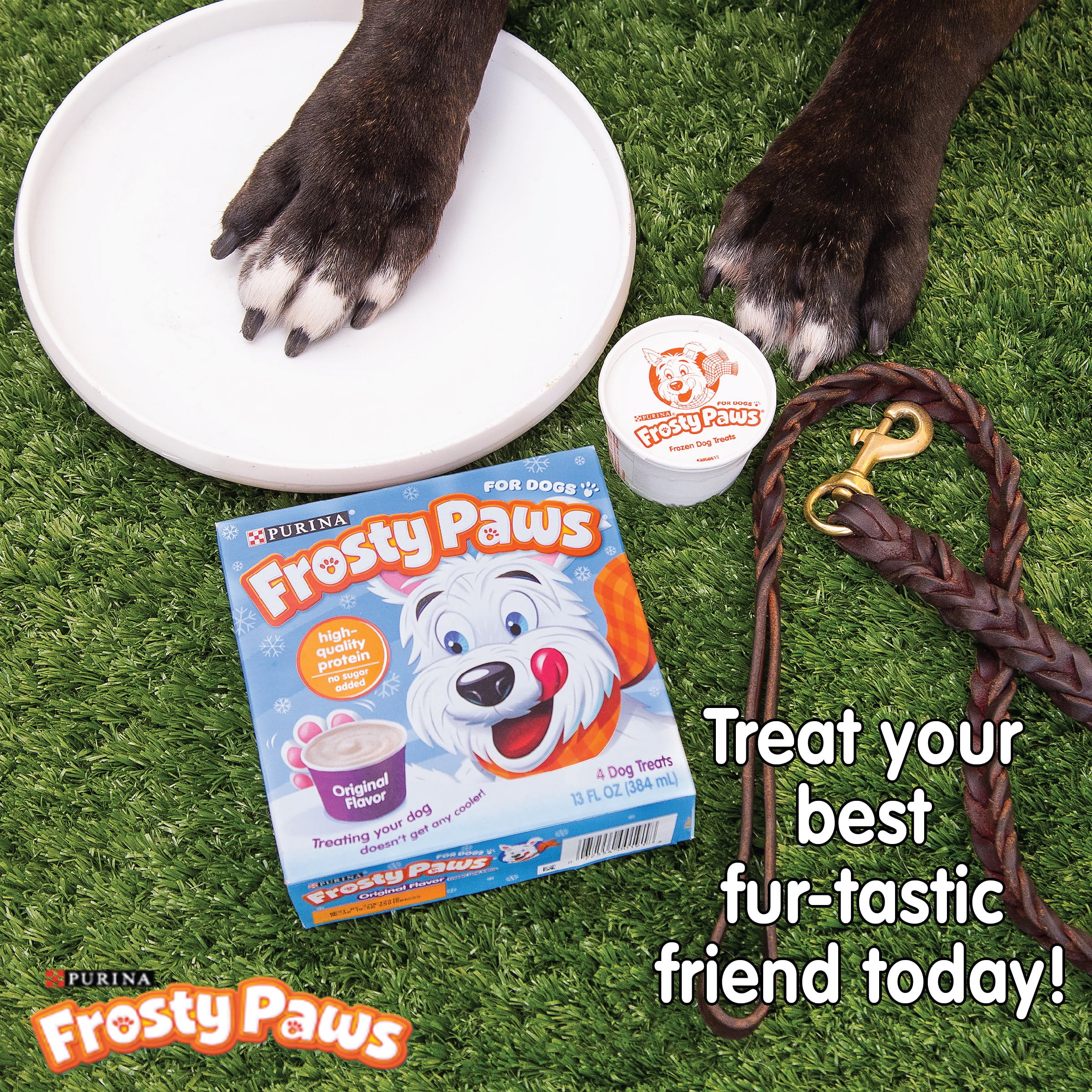 Purina Frosty Paws Peanut Butter Flavor Frozen Dog Treats, Count 