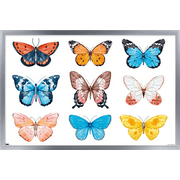 Watercolor Butterflies