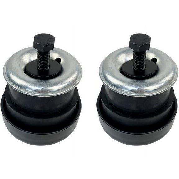 Body Mount Set of 2 - Position 1 - Compatible with 1994 - 2004 Chevy S10 1995 1996 1997 1998 1999 2000 2001 2002 2003