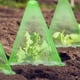 thumbnail image 4 of Toystoory 10 Uds ABS protección eficaz de las plantas con campanas de jardín adecuadas para todo tipo de plantas que ayudan al crecimiento Jardín y Patio, 4 of 6