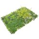 thumbnail image 2 of Paneles de pared de césped Paneles de pared de césped sintético Paneles de césped artificial Revestimiento de pared con vegetación para jardín, 2 of 8