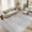 Gray, variant on MICGEEK 6x9 Washable Area Rugs for Living Room, Modern Abstract Printed Rug, Vacuum-Friendly, Non Slip Indoor Rug for Bedroom Dining Room Home Decor Carpet, Beige
