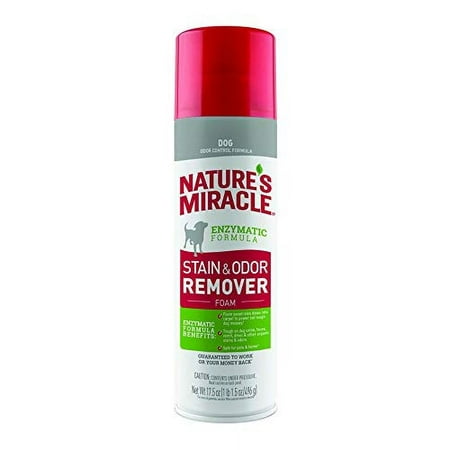 Nature's Miracle Dog Stain & Odor Remover Foam, 17.5 oz
