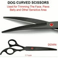 thumbnail image 4 of Profional Dog Grooming Scissors Kit Black 6 in 1 Dog Shears for Grooming 6CR Premium Stainl Steel Grooming Scissors Kit for Dogs Cat Pet, 4 of 8