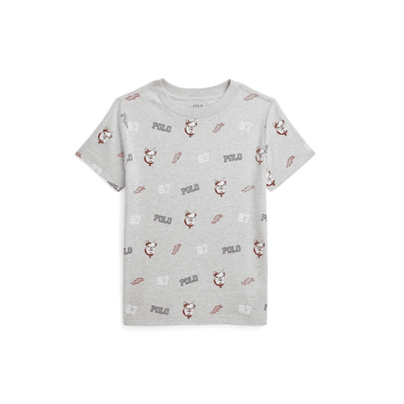 Polo Ralph Lauren Toddler and Little Boys Cotton Jersey Graphic T-shirt - Andover Heather